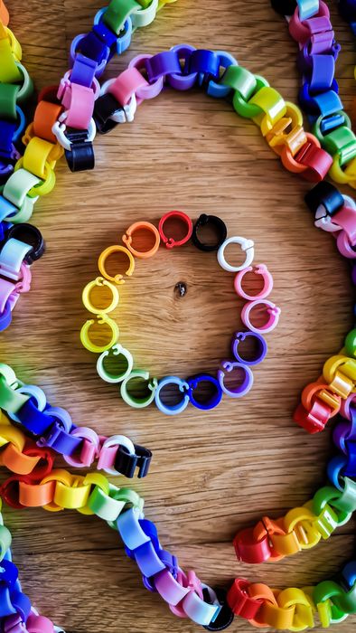 OFERTA Inele Clips-uri Colorate Pasari/ Cabluri/ Fire - 15 Culori