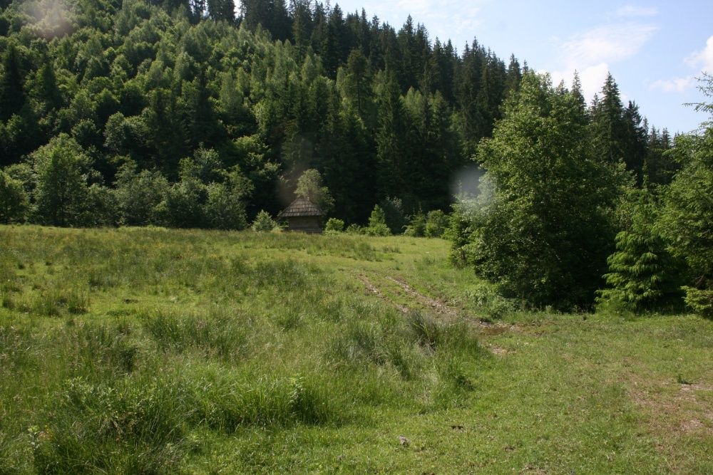 Vand teren pentru pensiune/cabana in Campulung Moldovenesc