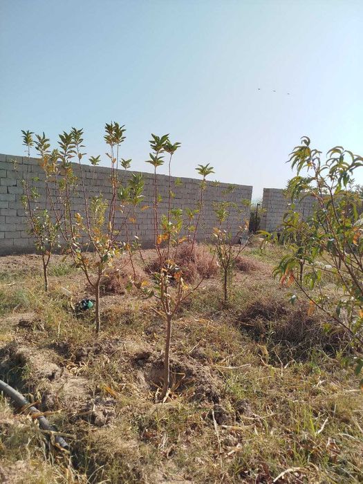 Shahar yaqinida barcha sharoitlarga e'ga yer maydoni sotiladi