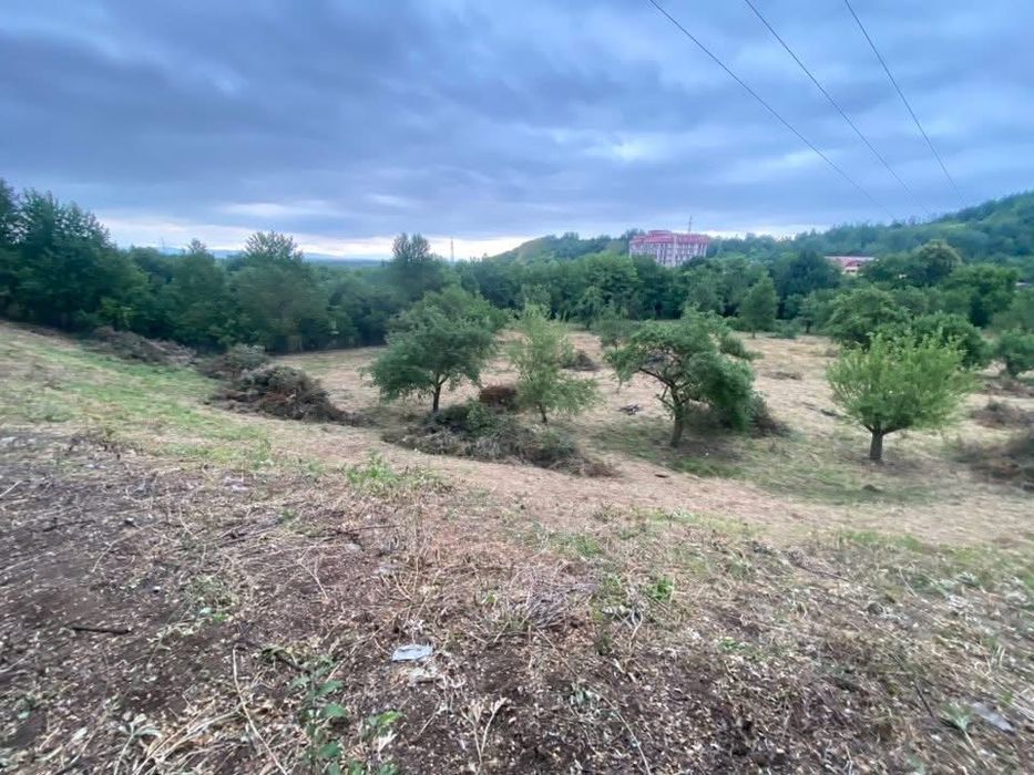 Amenajării curți Brașov