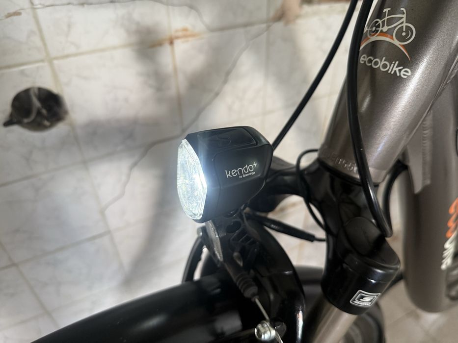 Електрически Велосипед EcoBike