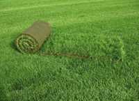 Искусственный газон, трава . футбольный газон.