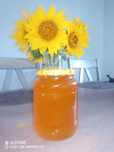 Miere de floarea soarelui