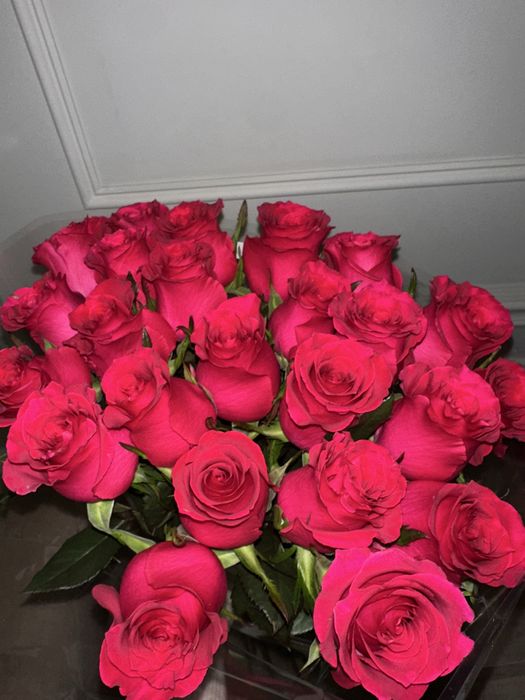 свежие красные розы