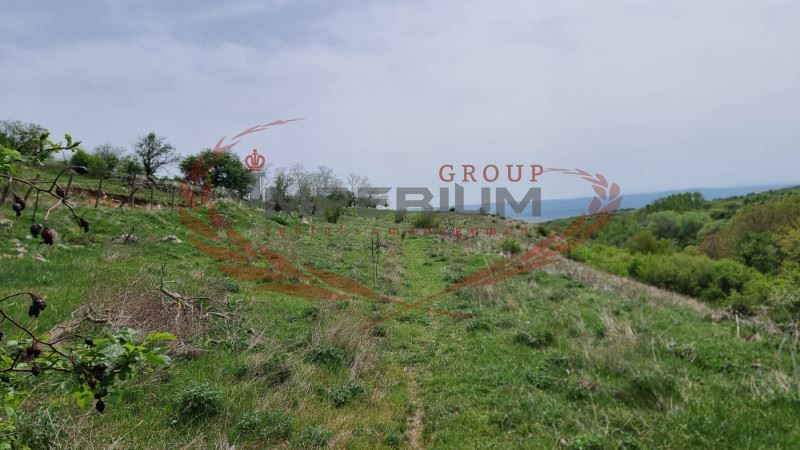 Продава се Парцел в с. Калиманци, Област Варна - 6194 кв.м за 6 €/кв.м - Снимка #8