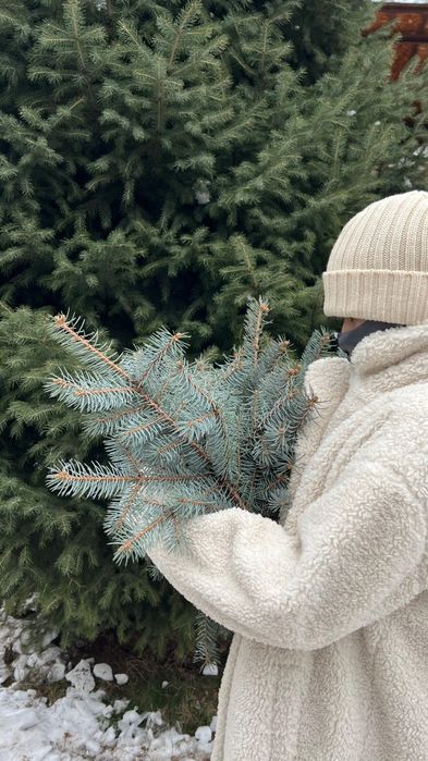 Украшение из натуральных ветки голубой ели ёлки  веточки