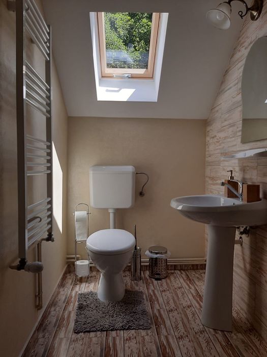 Cabana Andreneasa (Rastolita,Lunca Bradului,Toplita - Valea Muresului)