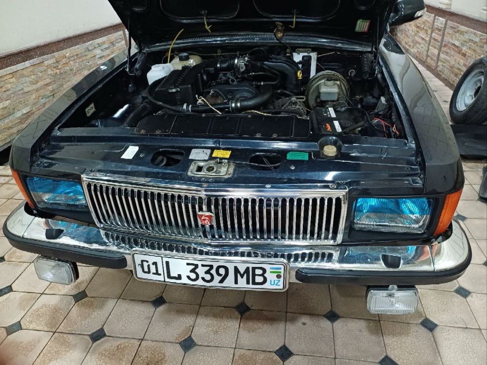 Volga 3102 gaz akula
