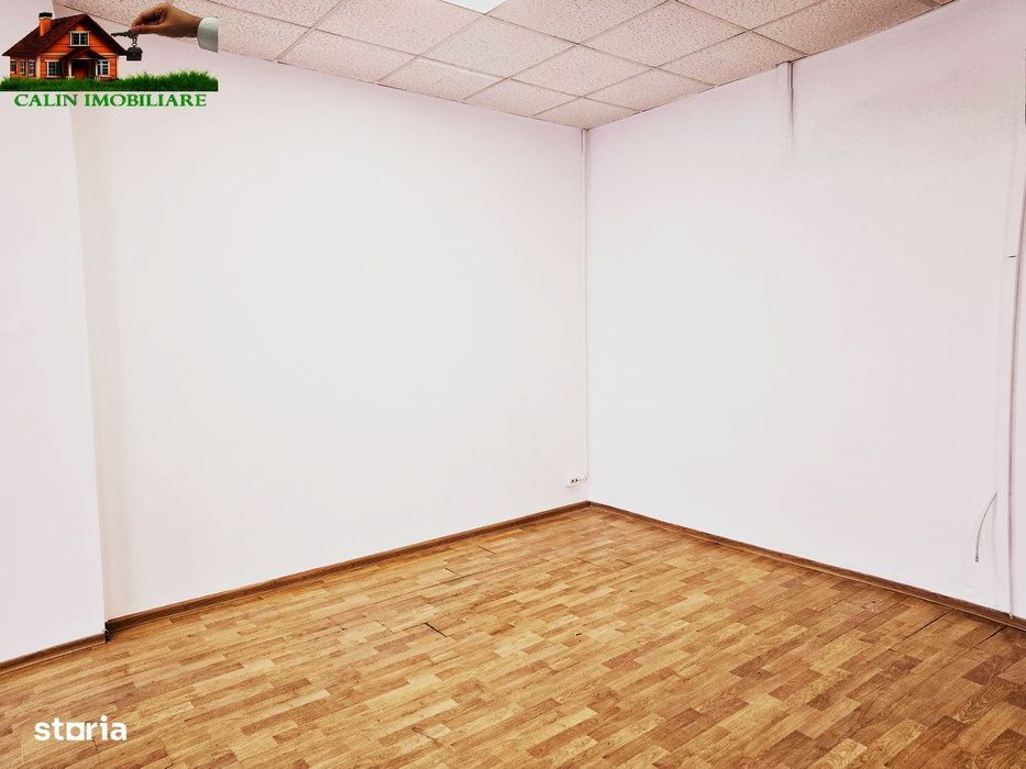 Birouri 25mp, 33mp,  56mp  Sfantul Lazar - Palas Mall