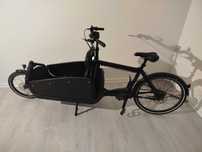 Bicicleta cu ataș frontal pt copii