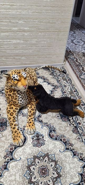 Yumshoq öyinchoqlar