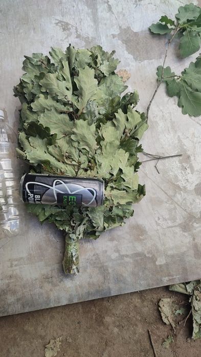 Продам веники для бани/сауны