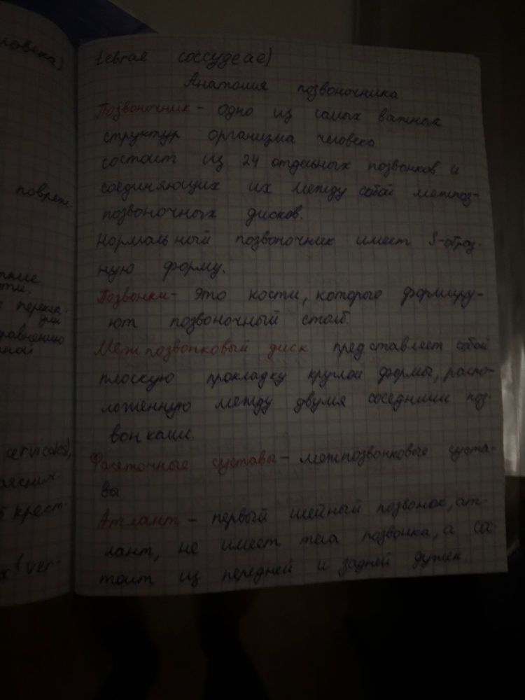 Сделаю конспект/презентацию/курсовую