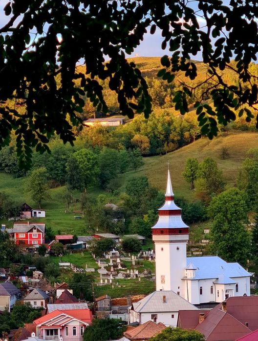 Teren de vanzare in Abrud jud Alba