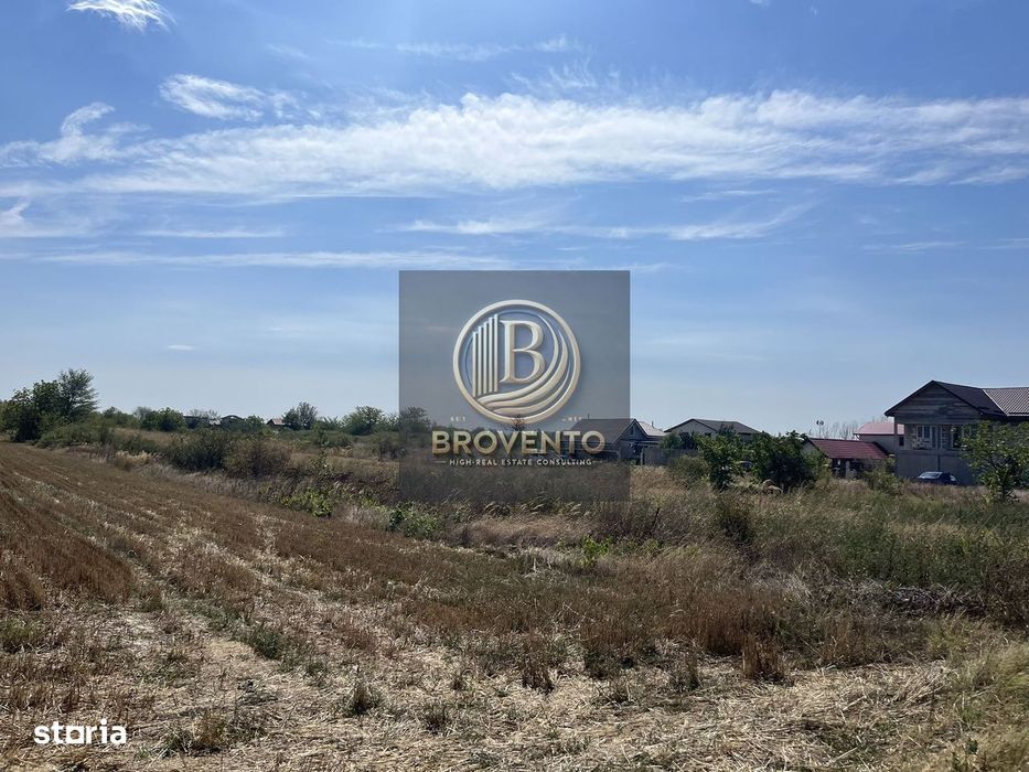 Teren Adunatii Copaceni-Strada Dealului