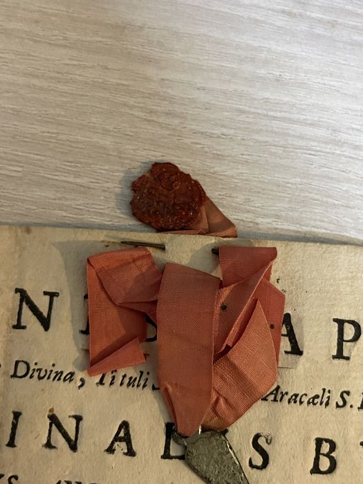 Unicat -Document Vatican Bula papala 1717 - instaurare cardinal papa !