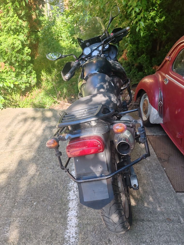 Triumph Tiger 955 I an 2001