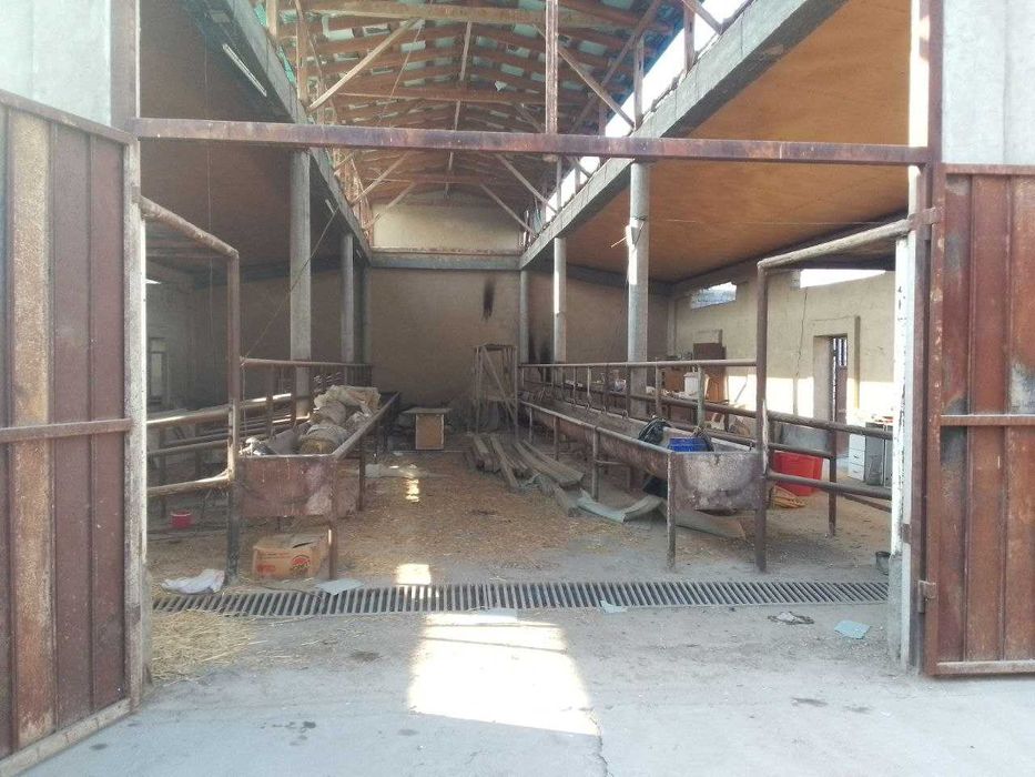 Уангиол тумани М39 йолида Уи сотилади фермаси билан