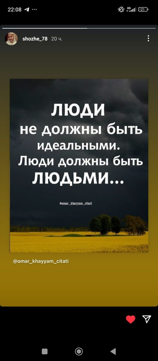 Все работы по саду и огороду