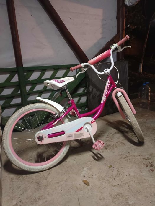 Bicicleta pentru copii