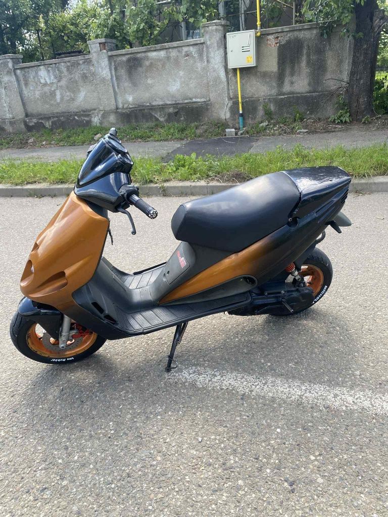 Vând malaguti  f12 ful polini