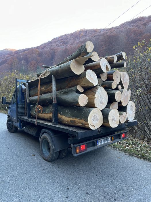 Lemn foc eseata tare