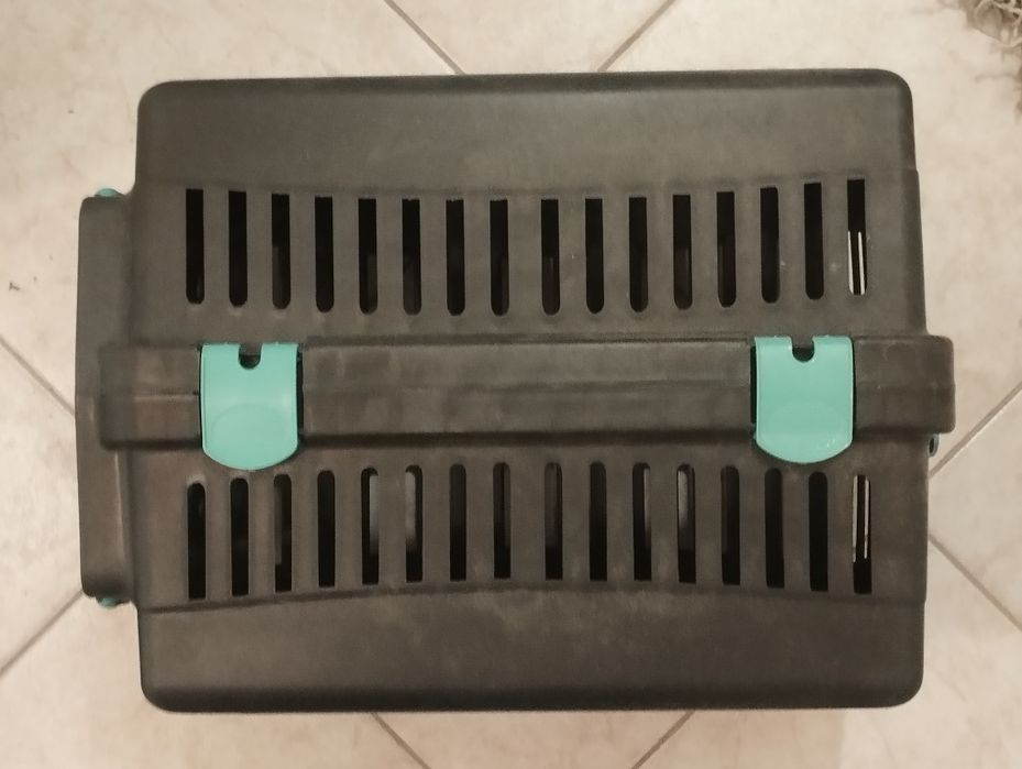 Аксесоари за котка