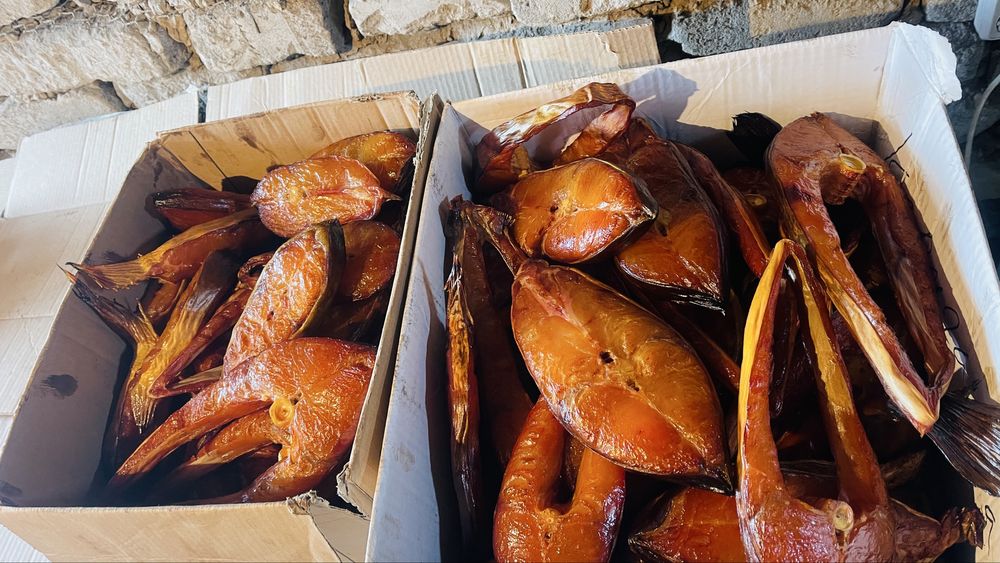 Сом стейки 7000 кг сом кусковой и хвостовой 6700 кг сом с головой 6000