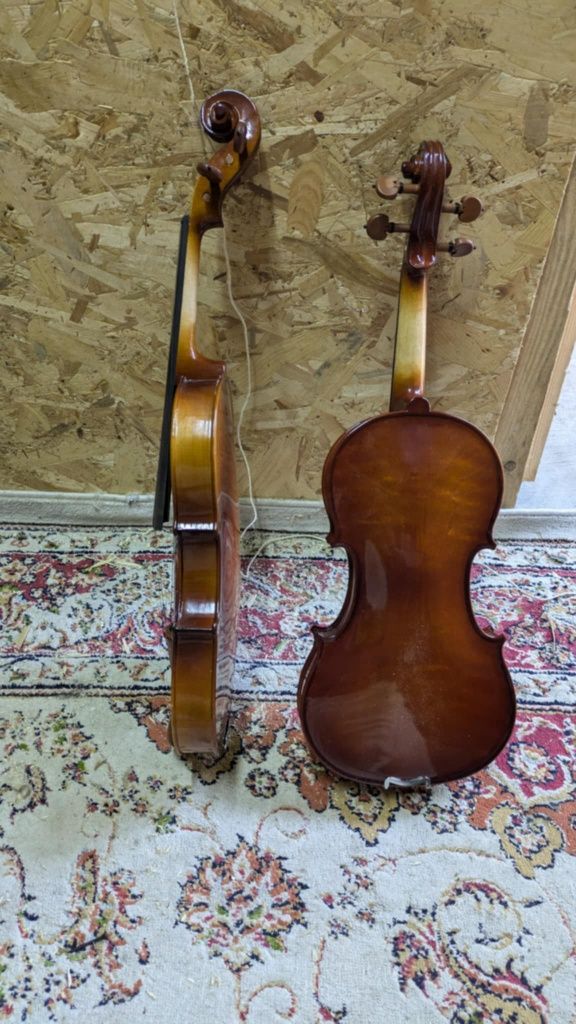 Viori de vanzare