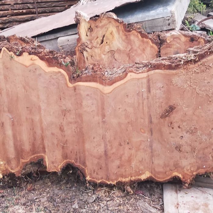 Карагач каковы около двух кубов , сухой , влажность  8- 10 %