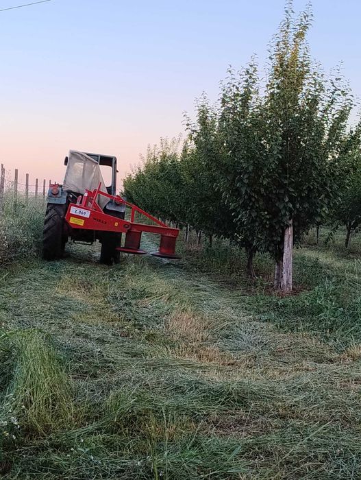 Vand 2 ha livada de pruni sistem intensiv