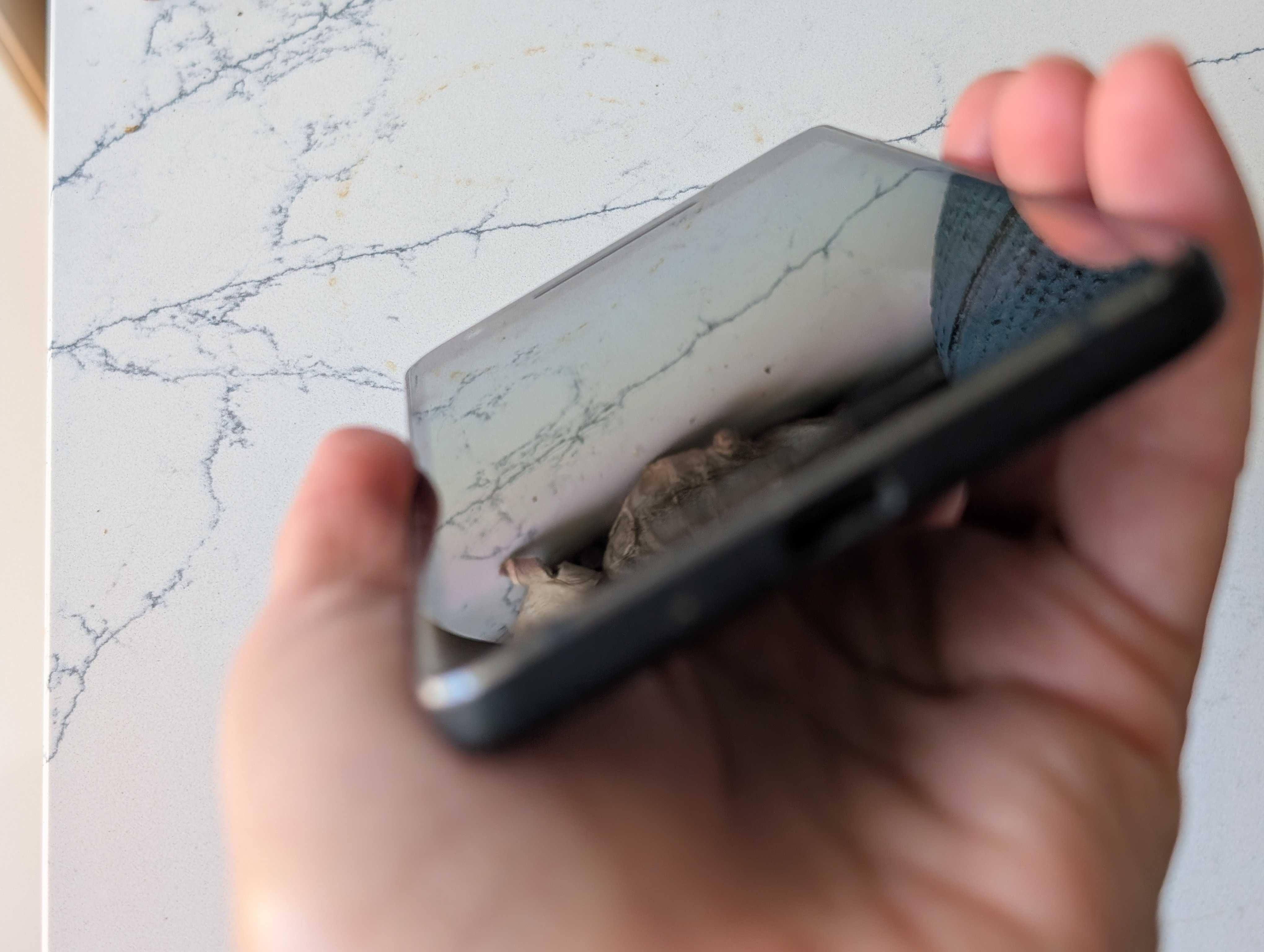 Google Pixel 2 и LG Nexus 4