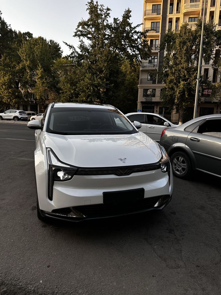 Neta U Pro luxury 400