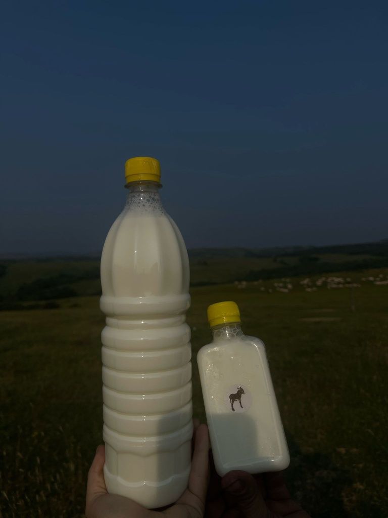 Lapte de magarita de Bihor
