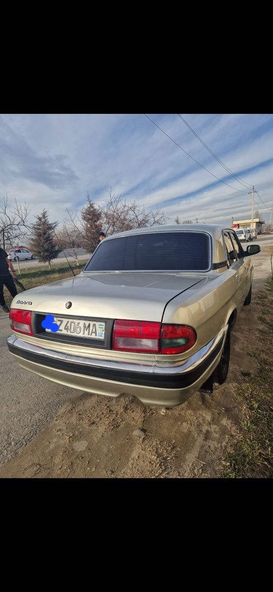 31105 zaychikchagin volga