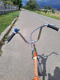 Bicicleta Pegasus Colecție