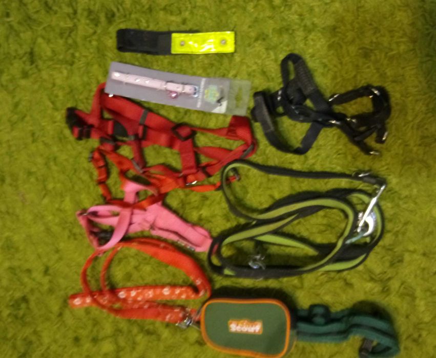 Hainute si accesorii caini si pisici