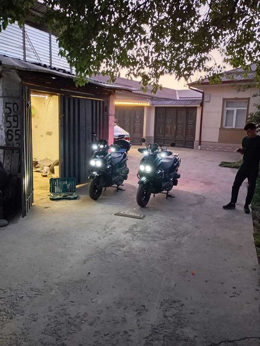 Продается Drongo 2025