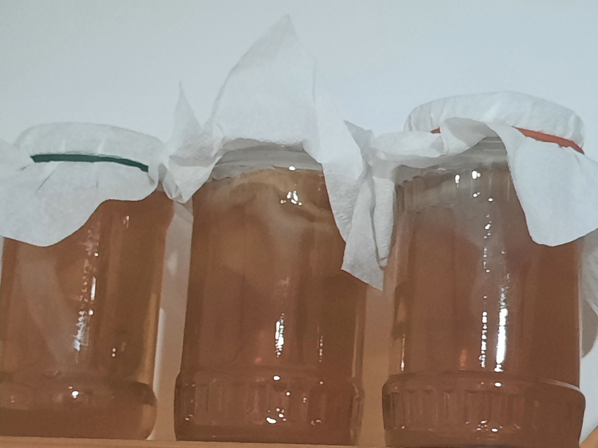 Starter kit pentru kombucha