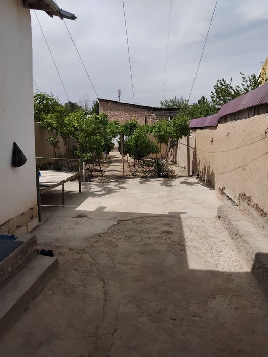 Navoida xovli sotiladi