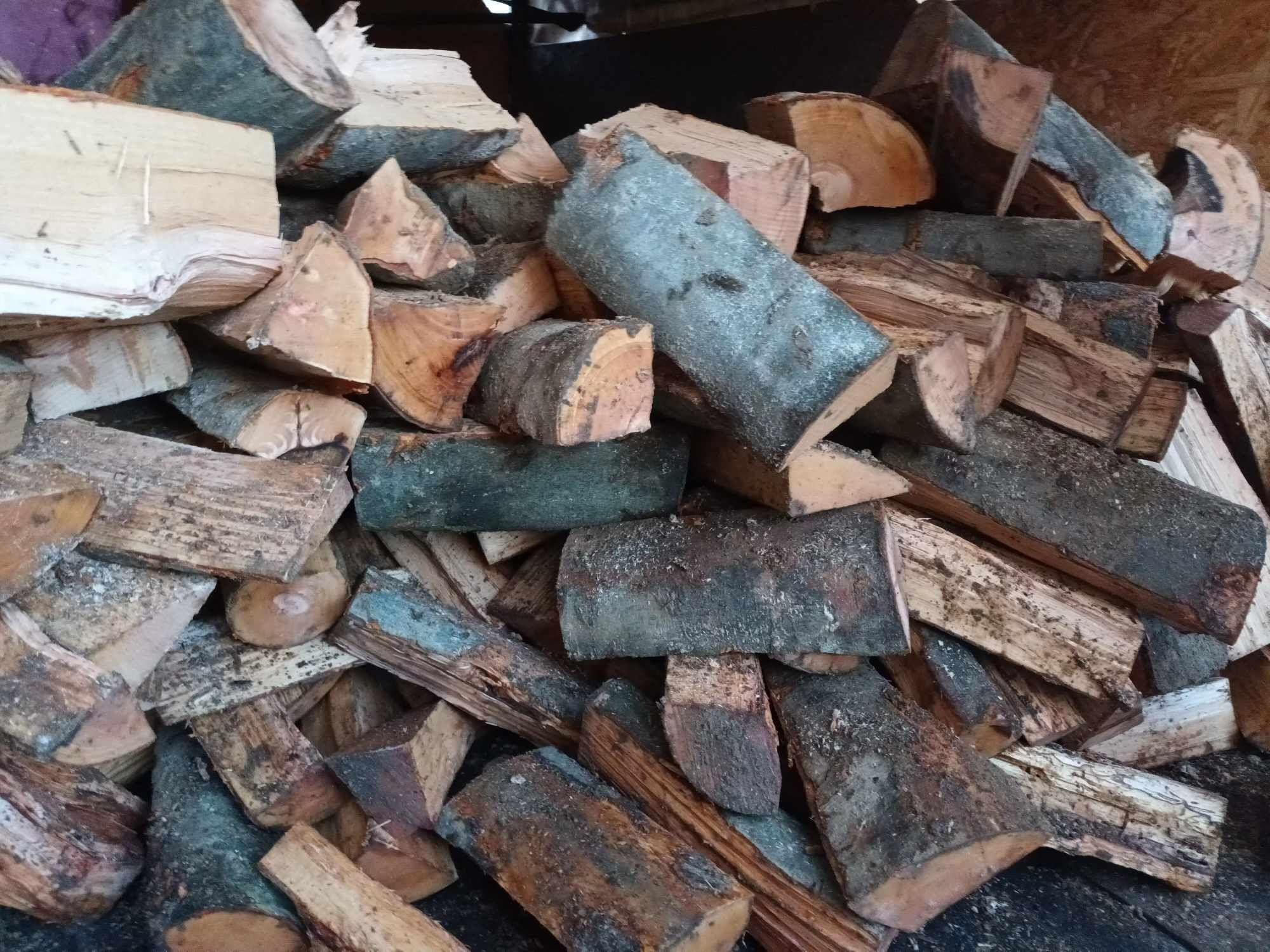 Aduc lemne de foc fag