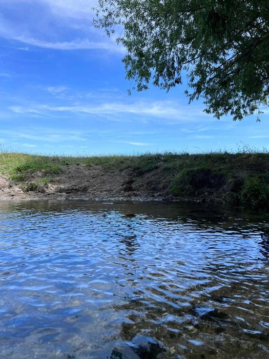 Casa si spatiu comercial Singureni