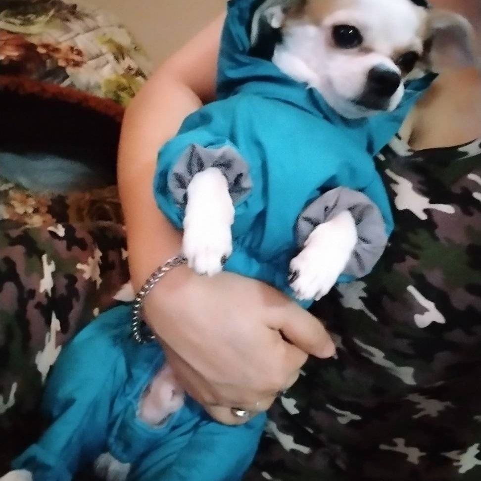 Продаю мальчик хароший умний