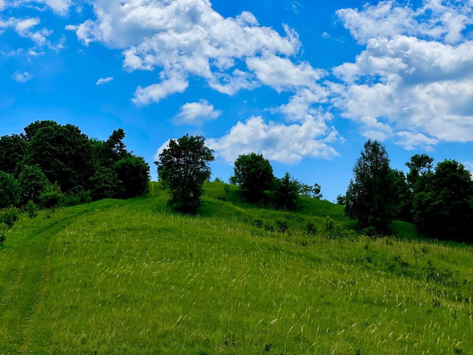 Terenuri extravilane de vânzare – Cozieni, jud. Buzău