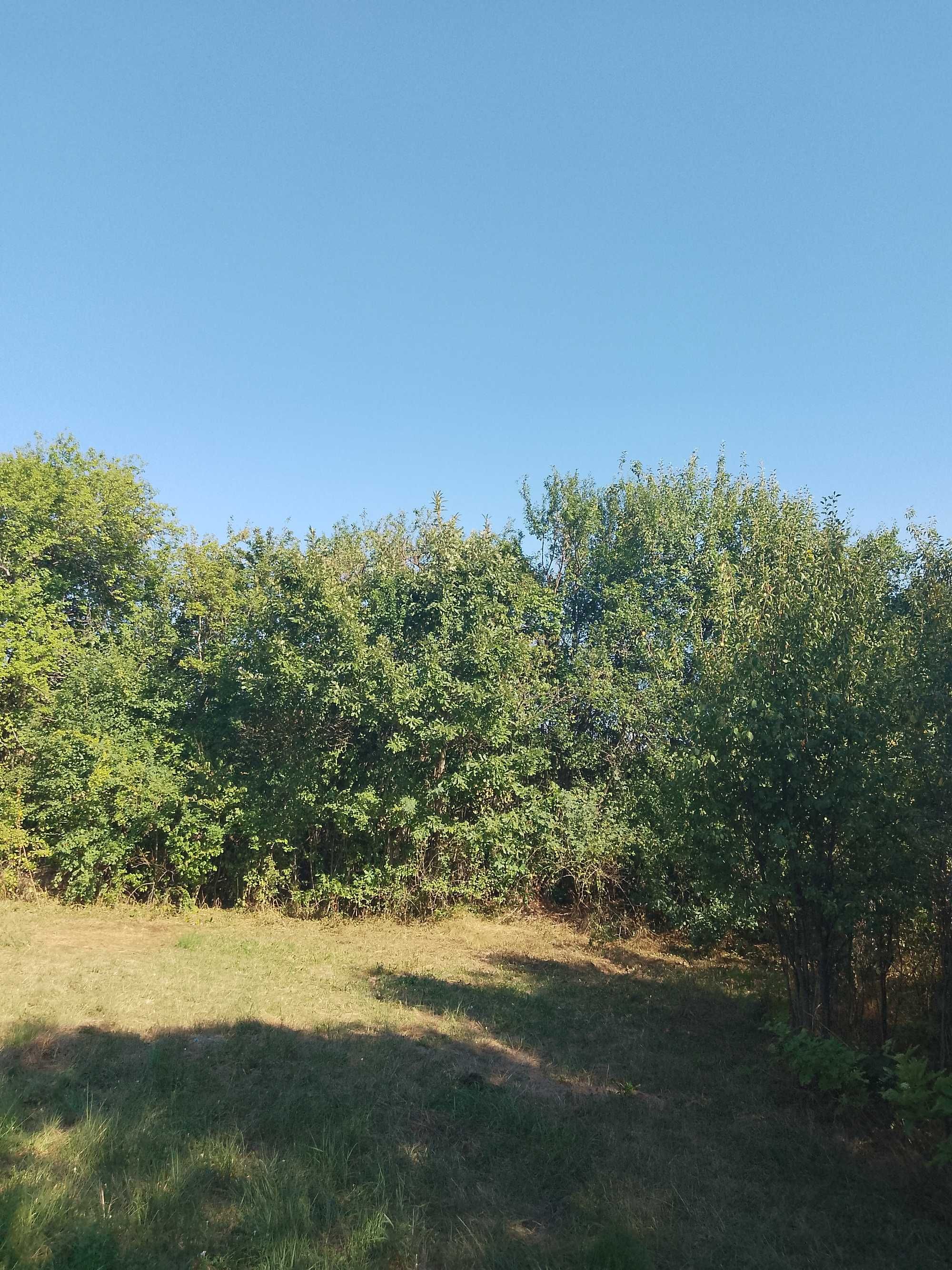 Продавам земеделска земя 2дк.