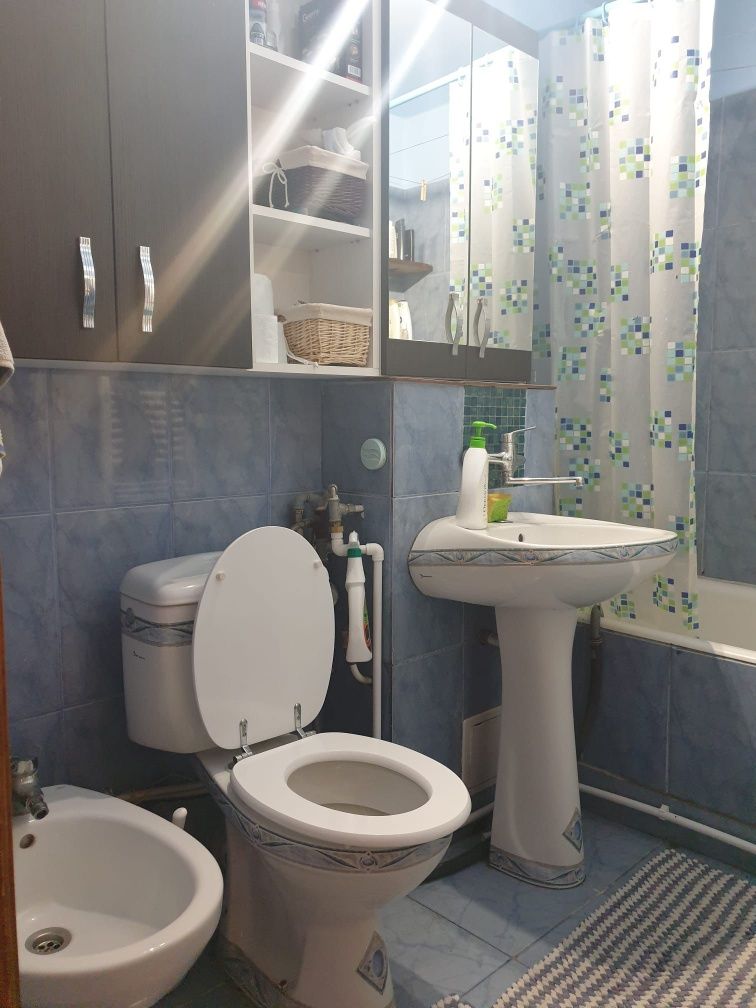 Apartament Brazda lui Novac
