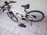 Bicicleta electrica Riese& Muller