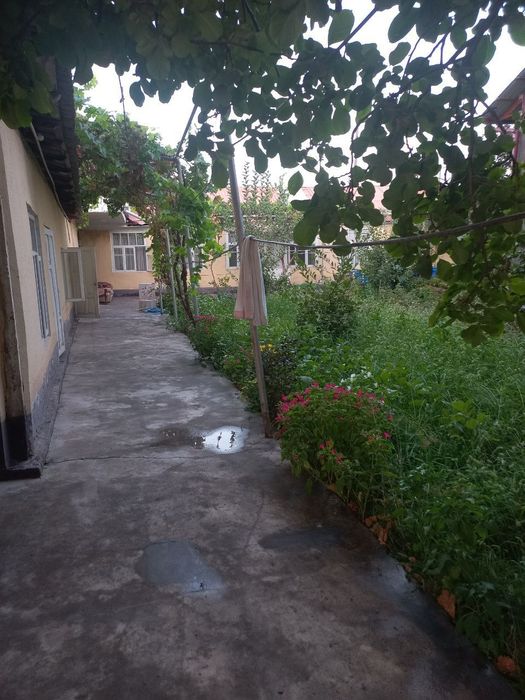 Уй сотилади 6 сотик