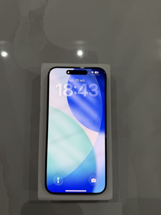 IPHONE 15 PRO MAX / 256 GB / Natural titanium