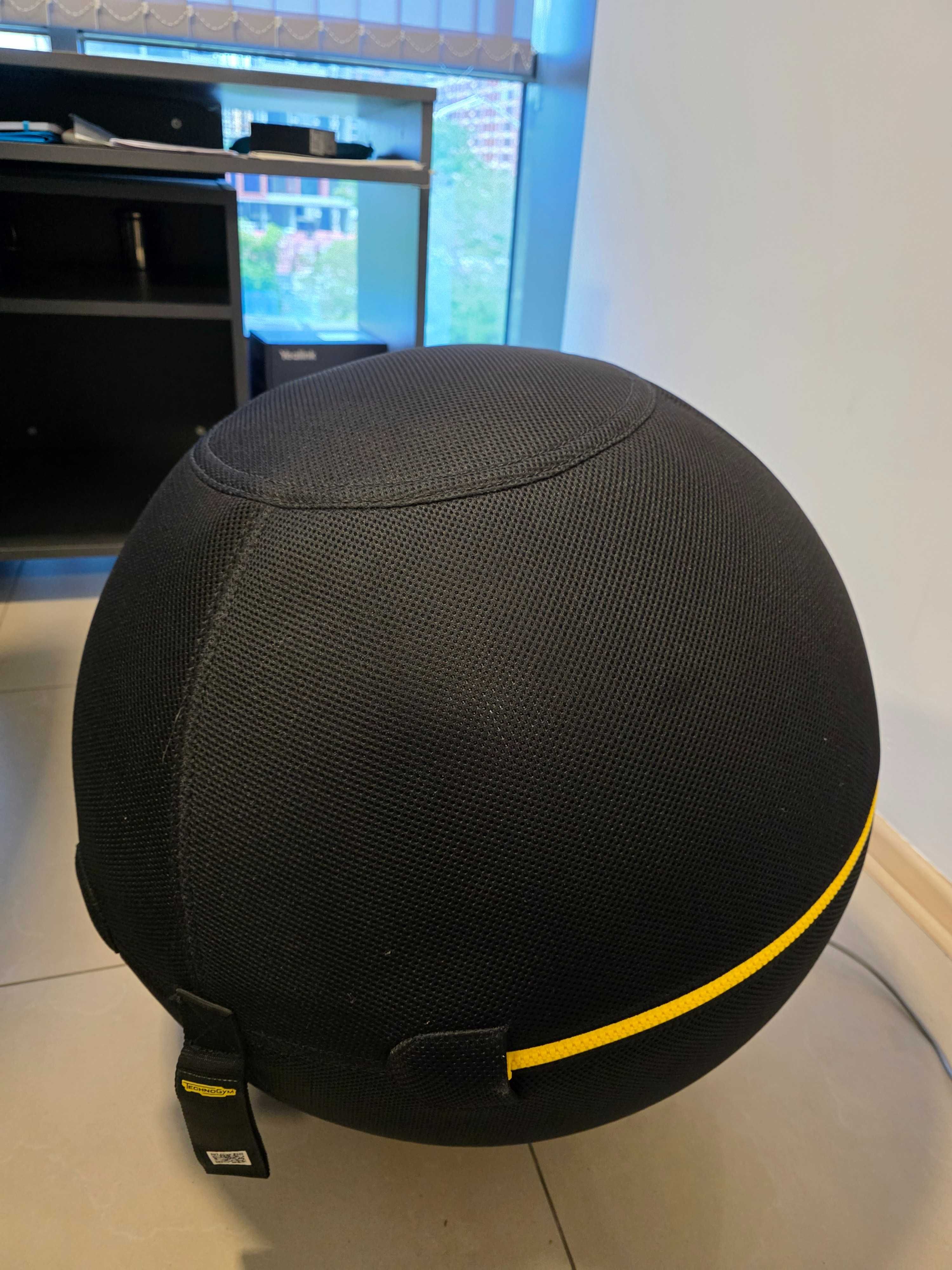 Active sitting топка на Technogym